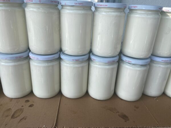800 gram Tuzlu Yoğurt sıcak dolum cam kavanoz