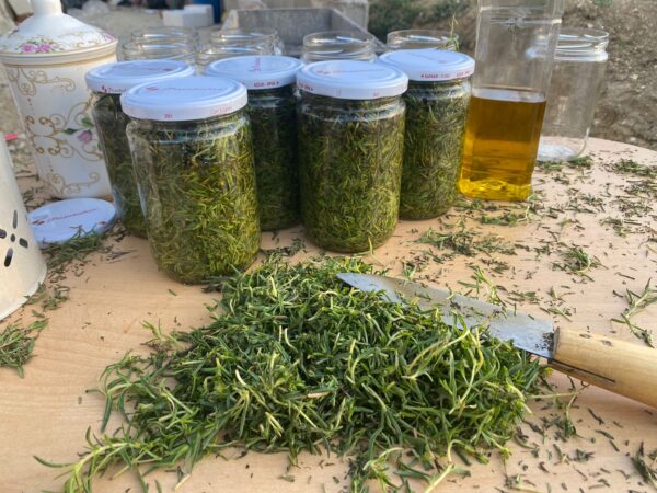 1 Kavanoz (660cc) Kekik Salamura