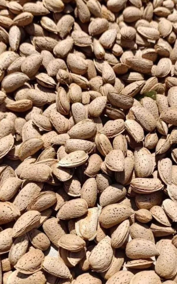 1 Kg Badem
